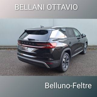 SKODA Kodiaq usata, con Cerchi in lega