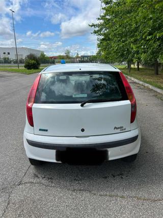 FIAT Punto usata 1