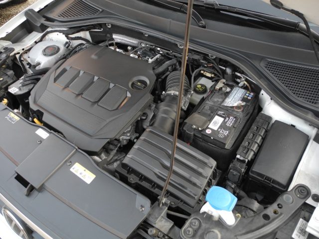 VOLKSWAGEN T-Roc usata 73