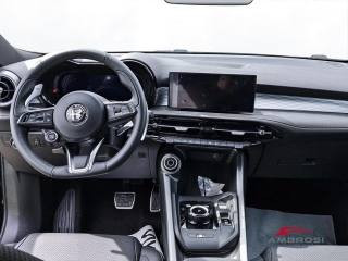 ALFA ROMEO Tonale usata 14