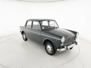 FIAT 1100 usata 18