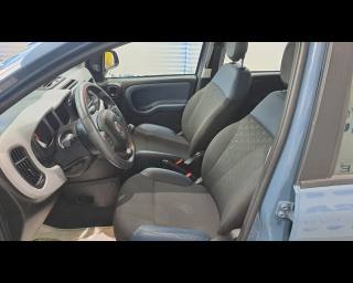 FIAT New Panda usata 21