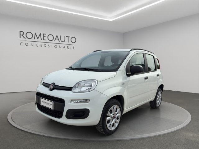 FIAT Panda usata 0