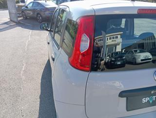 FIAT Panda usata 15
