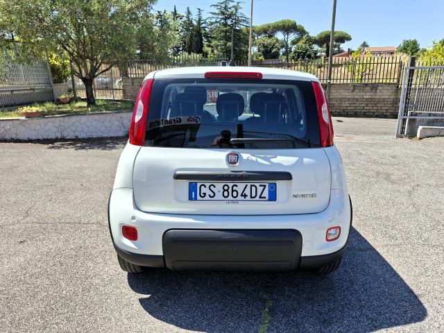 FIAT Panda usata 4