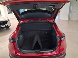 MAZDA CX-30 usata, con Chiusura centralizzata