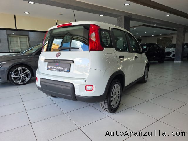 FIAT Panda usata, con Alzacristalli elettrici