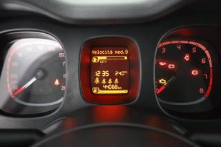 FIAT Panda usata 6