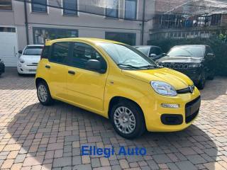 FIAT Pandina usata, con Alzacristalli elettrici