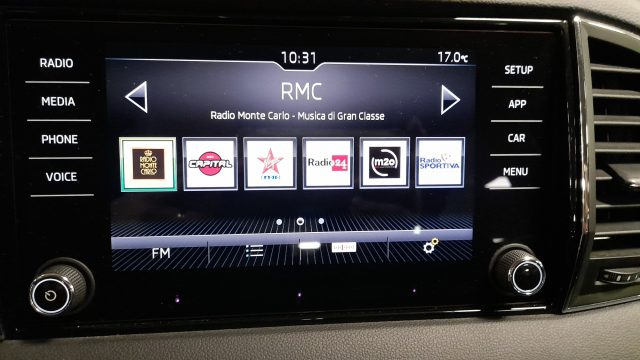SKODA Karoq usata, con Autoradio digitale