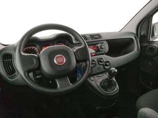 FIAT Panda usata, con Servosterzo