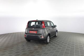 FIAT Panda usata 3