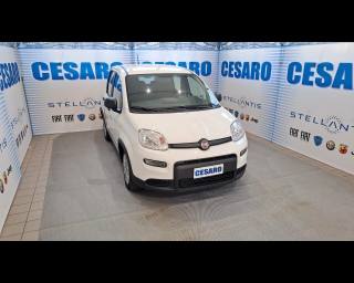 FIAT New Panda 1.0 firefly hybrid s&s 70cv 5p.ti