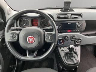 FIAT Panda usata 9