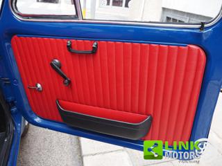 FIAT 500L usata 30