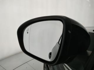 RENAULT Arkana usata, con Cruise Control