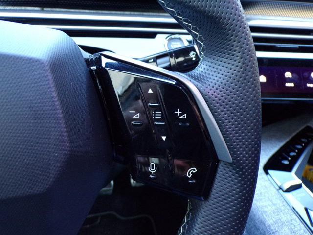 PEUGEOT 3008 usata 101