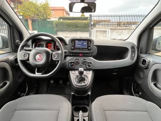 FIAT Panda usata, con Fendinebbia