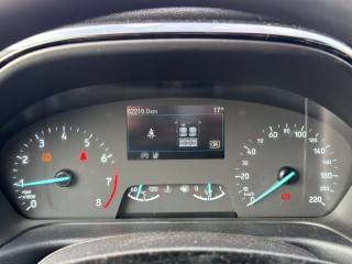 FORD Fiesta usata 14