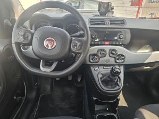 FIAT Panda usata, con Controllo trazione