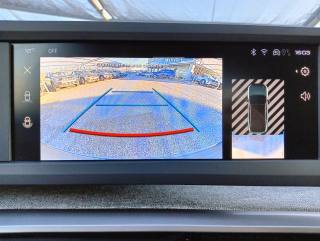 PEUGEOT 3008 usata, con Climatizzatore