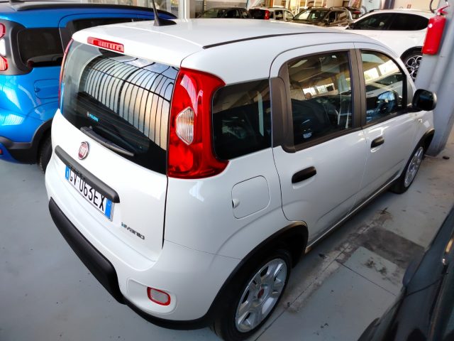 FIAT Panda usata, con Immobilizzatore elettronico