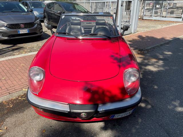 ALFA ROMEO Spider usata 10