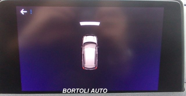 PEUGEOT 3008 usata, con Luci diurne LED