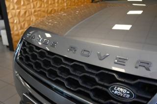 LAND ROVER Range Rover Evoque usata 96