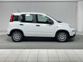 FIAT Panda usata, con Climatizzatore