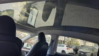 TESLA Model Y usata, con Park Distance Control