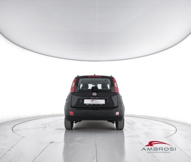 FIAT Panda usata 5
