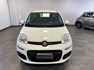 FIAT Panda usata, con Airbag Passeggero