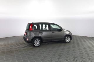 FIAT Panda usata 2