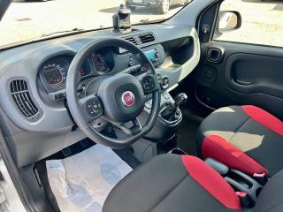 FIAT Panda usata 15