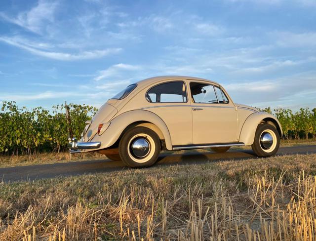 VOLKSWAGEN Maggiolino usata 4