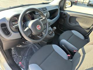 FIAT Panda usata, con Antifurto