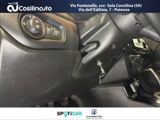 JEEP Renegade usata, con Bracciolo