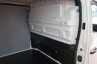 RENAULT Trafic usata 36