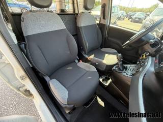 FIAT Panda usata 14