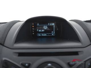 FORD Fiesta usata 13
