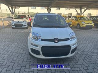 FIAT Panda usata, con Antifurto