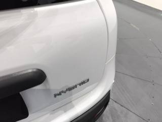 FIAT New Panda usata, con Bracciolo