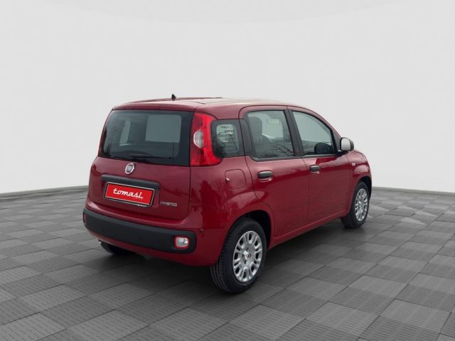FIAT Panda usata 4