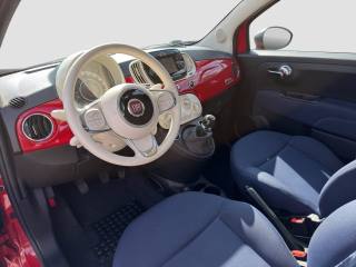 FIAT 500 usata 8
