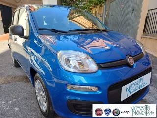 FIAT Panda usata, con Alzacristalli elettrici