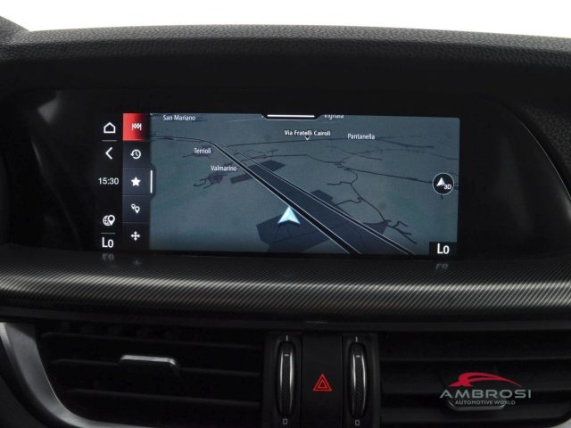 ALFA ROMEO Stelvio usata 14