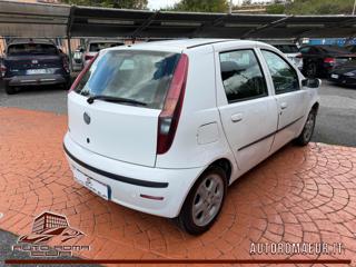 FIAT Punto usata, con Cerchi in lega