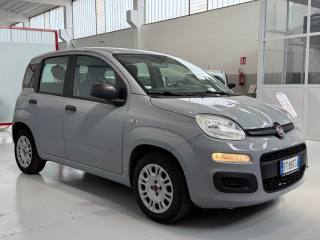 FIAT Panda usata, con Airbag Passeggero