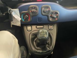 FIAT Panda usata 17